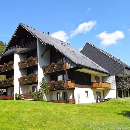 C2 Albmatte-fewo , Hallenbad Aussenbecken Massagen Nebenan * St. Blasien