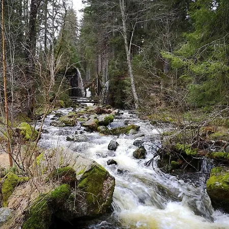 C2 Albmatte-fewo , Hallenbad Aussenbecken Massagen Nebenan St. Blasien
