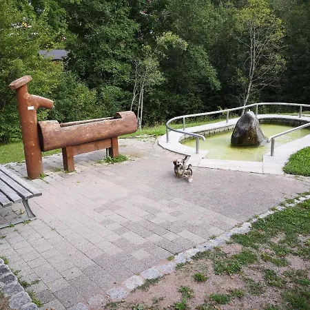 C2 Albmatte-fewo , Hallenbad Aussenbecken Massagen Nebenan