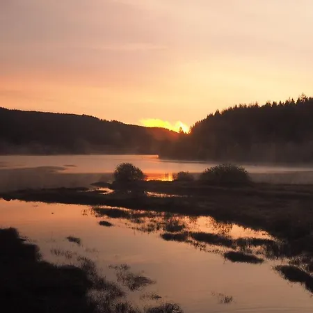 C2 Albmatte-fewo , Hallenbad Aussenbecken Massagen Nebenan St. Blasien