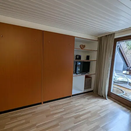 C2 Albmatte-fewo , Hallenbad Aussenbecken Massagen Nebenan Apartment St. Blasien