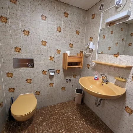 C2 Albmatte-fewo , Hallenbad Aussenbecken Massagen Nebenan Apartment St. Blasien