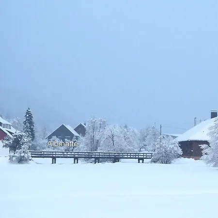 Apartment C2 Albmatte-fewo , Hallenbad Aussenbecken Massagen Nebenan St. Blasien