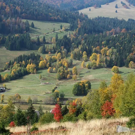 C2 Albmatte-fewo , Hallenbad Aussenbecken Massagen Nebenan * St. Blasien