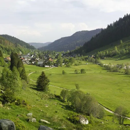C2 Albmatte-fewo , Hallenbad Aussenbecken Massagen Nebenan Apartment