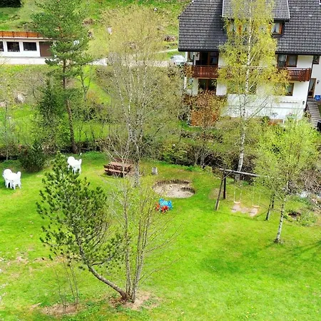 Apartment C2 Albmatte-fewo , Hallenbad Aussenbecken Massagen Nebenan *